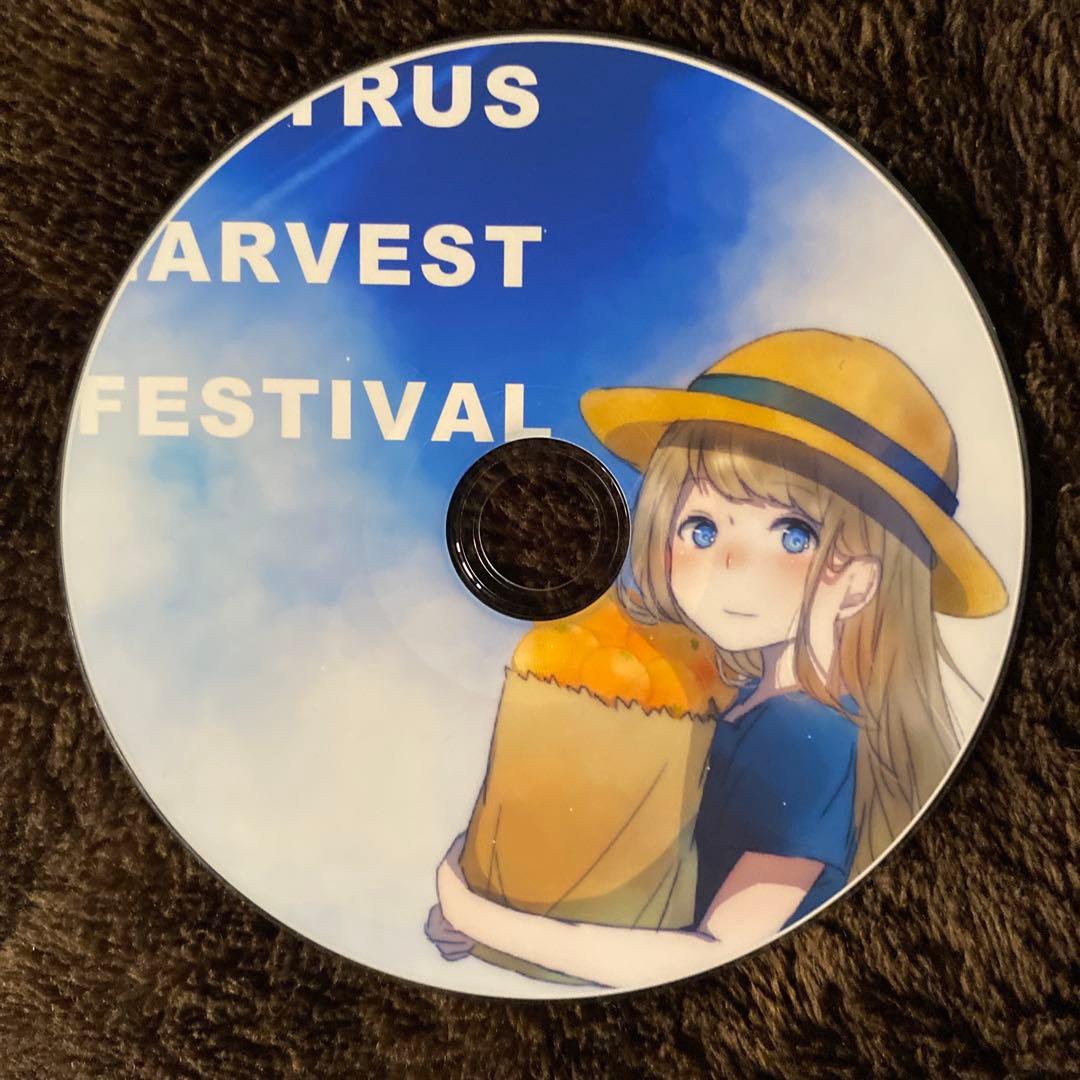 柑橘類収穫記念祭目立った傷や汚れなし