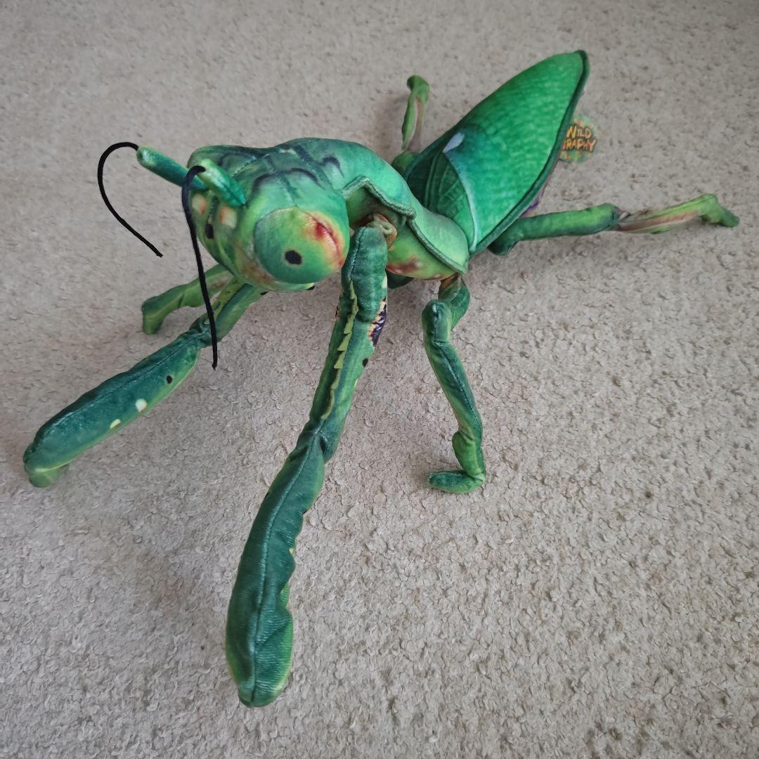 ワイルド グラフィティ カマキリ ぬいぐるみ