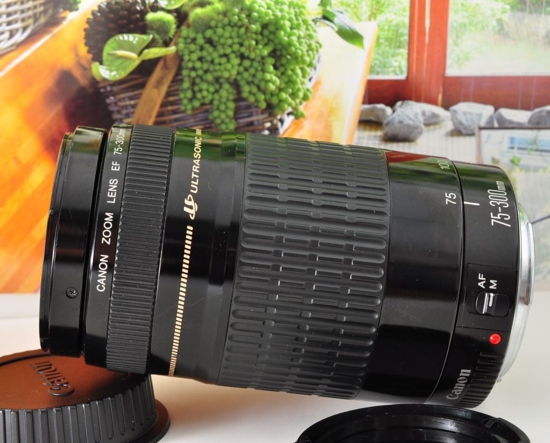 【25％OFF】 想い出を望遠で！Canon キヤノン 望遠レンズ EF75-300mm♥#4 レンズ(ズーム)