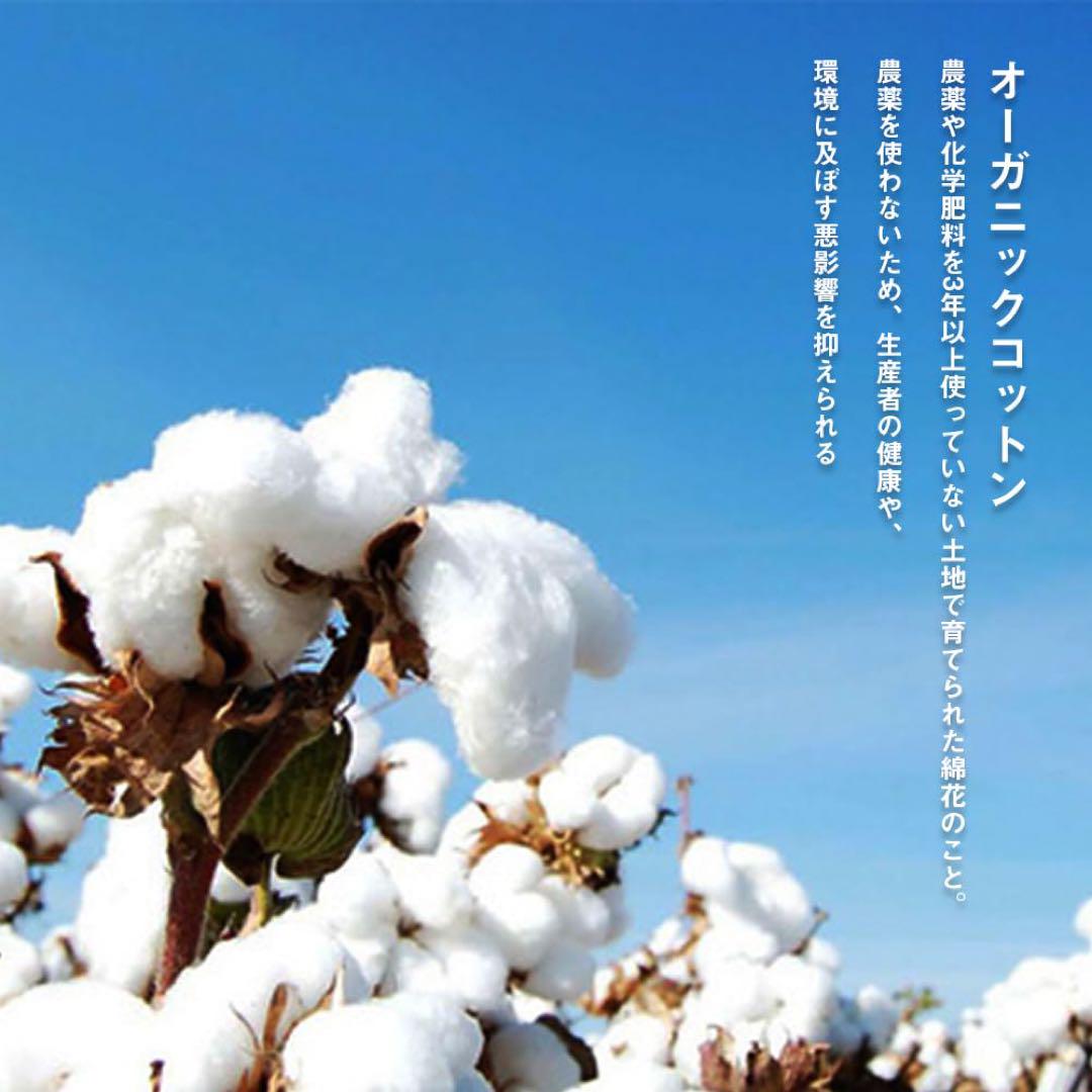 ㊲Bioweaves 100% オーガニックコットン枕カバーセット