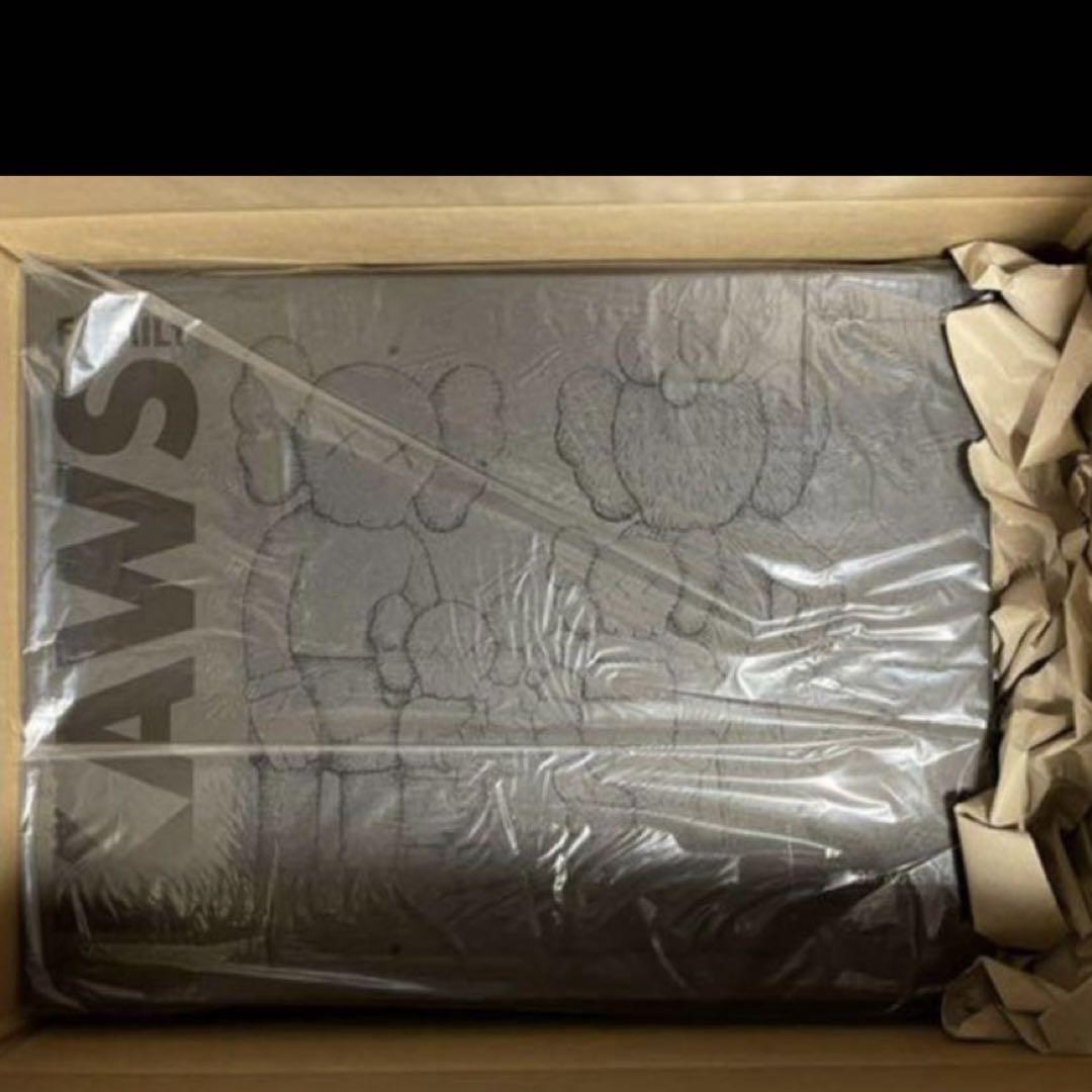 kaws カウズ　フィギュア