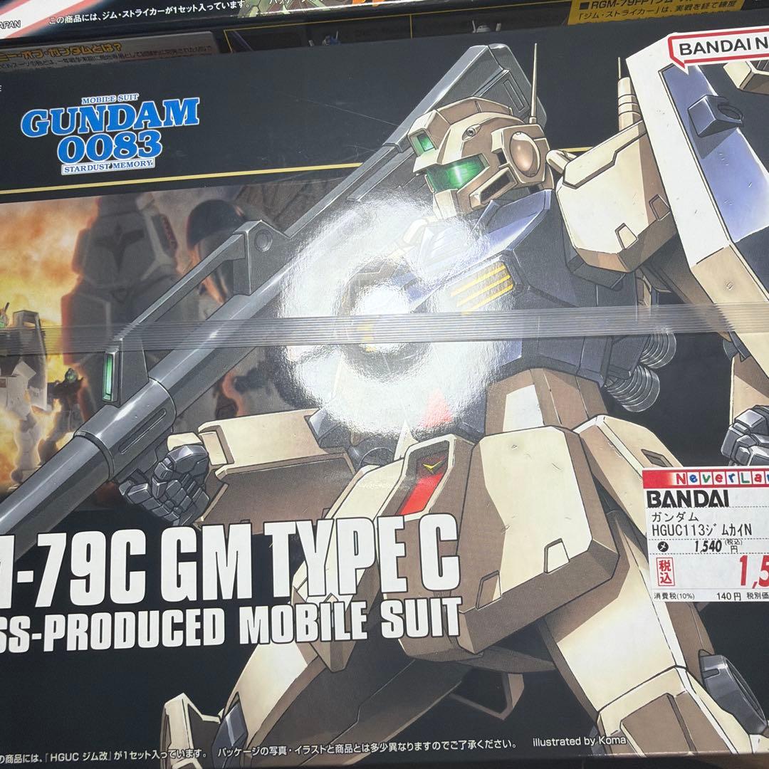 イーフリートとジム二体HG イーフリートとジム二体HG