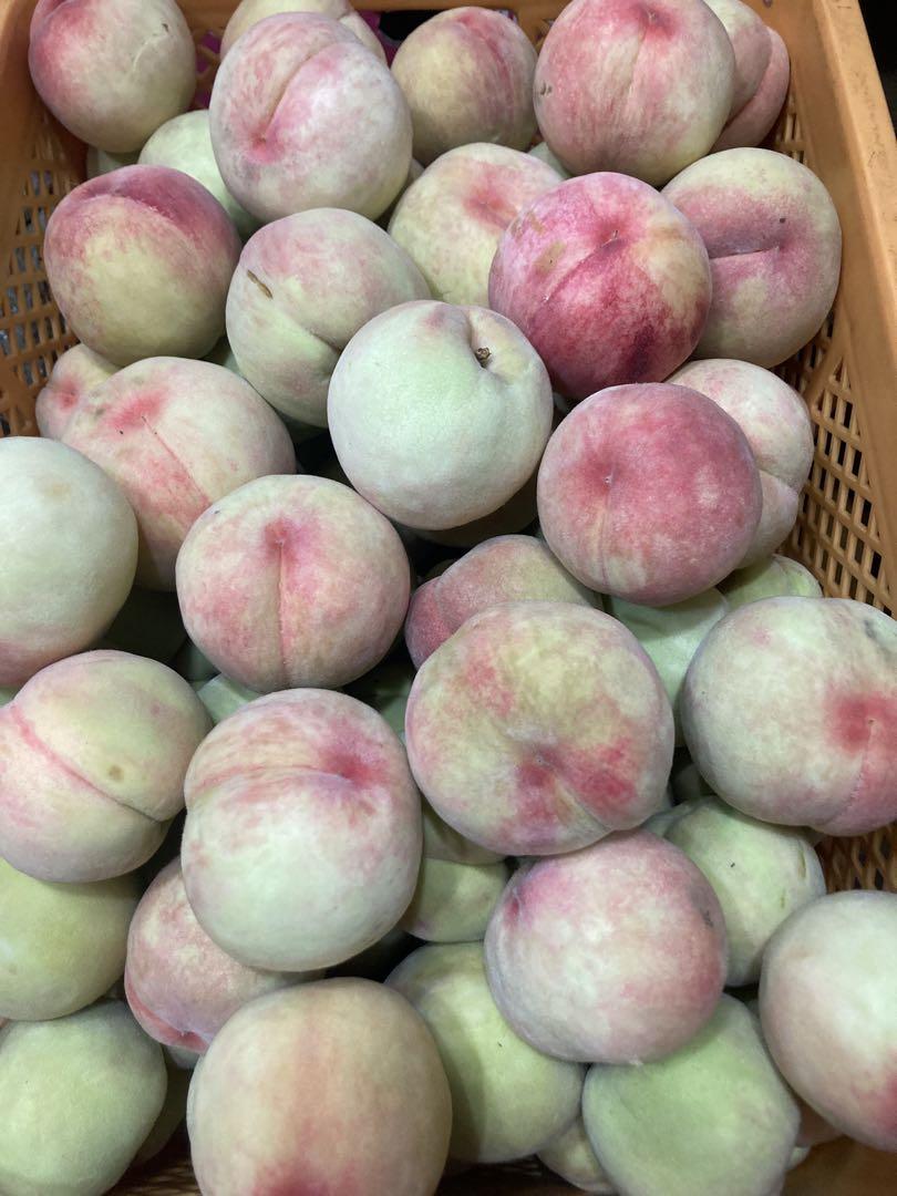 110.福島県産若桃摘果桃硬い桃カリカリ桃10kg常温発送玉数お任せ