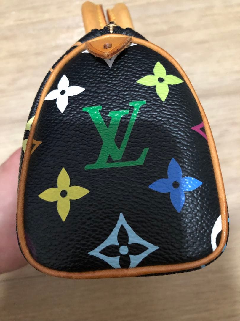 廃盤マルチカラー　ルイ ヴィトン スピーディー型ポーチ