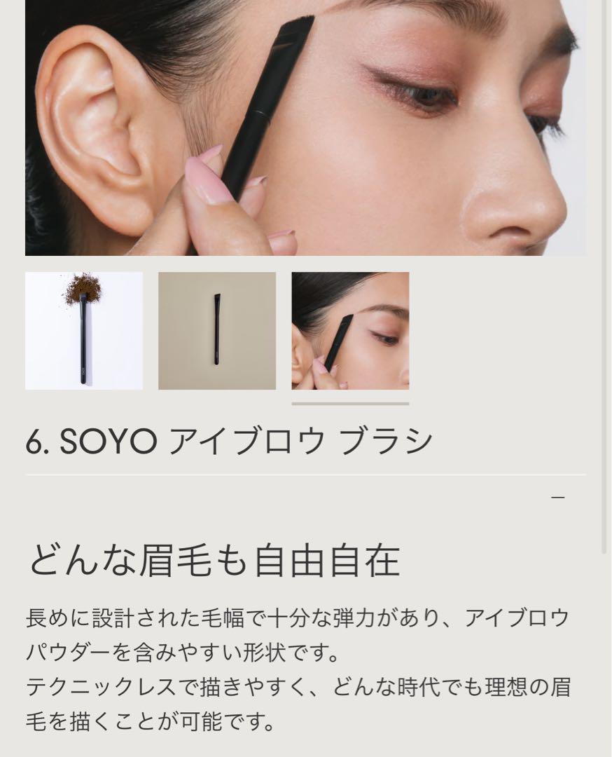 SOYO メイクブラシ　スタンダード　デイリー　セット