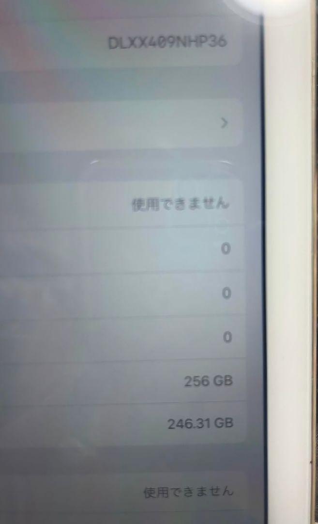 iPad Pro (12.9インチ) 第2世代 256GB