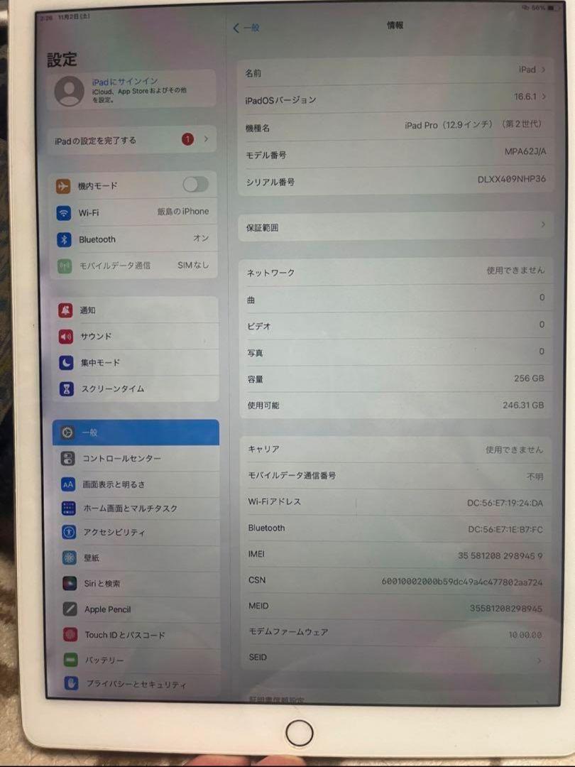iPad Pro (12.9インチ) 第2世代 256GB