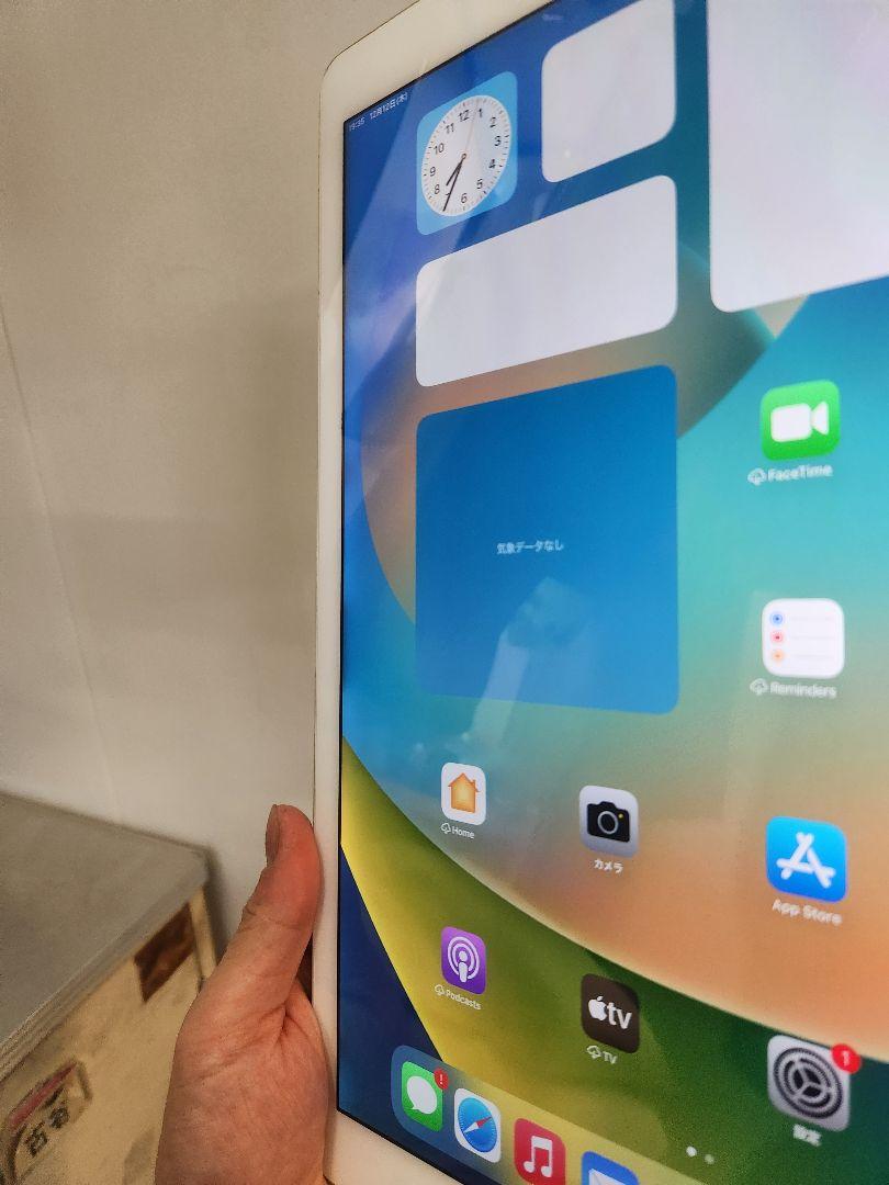 iPad Pro (12.9インチ) 第2世代 256GB