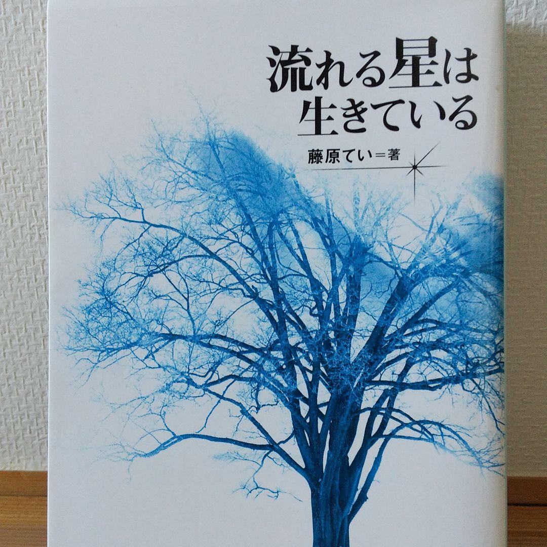 流れる星は生きている 最愛