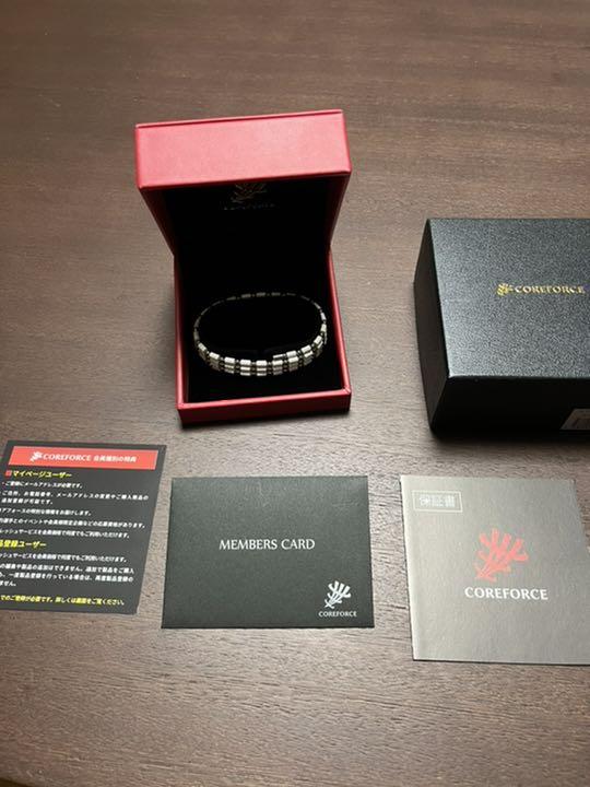 ルカリ コアフォースループ SUSホワイト70 dBL20-m51948046469 のために