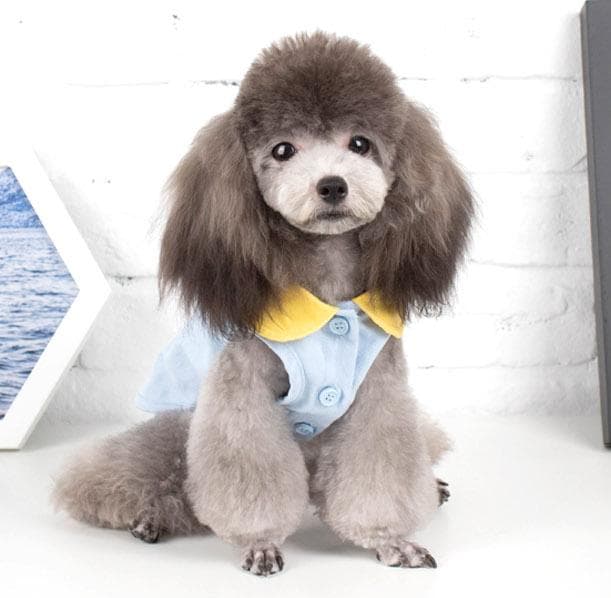 犬服 ワンピース スカート レース ドッグウェア ドレス2点セット可愛い お姫様 メルカリ 犬服 ワンピース スカート レース ドッグウェア ドレス2点セット可愛い お姫様 メルカリ