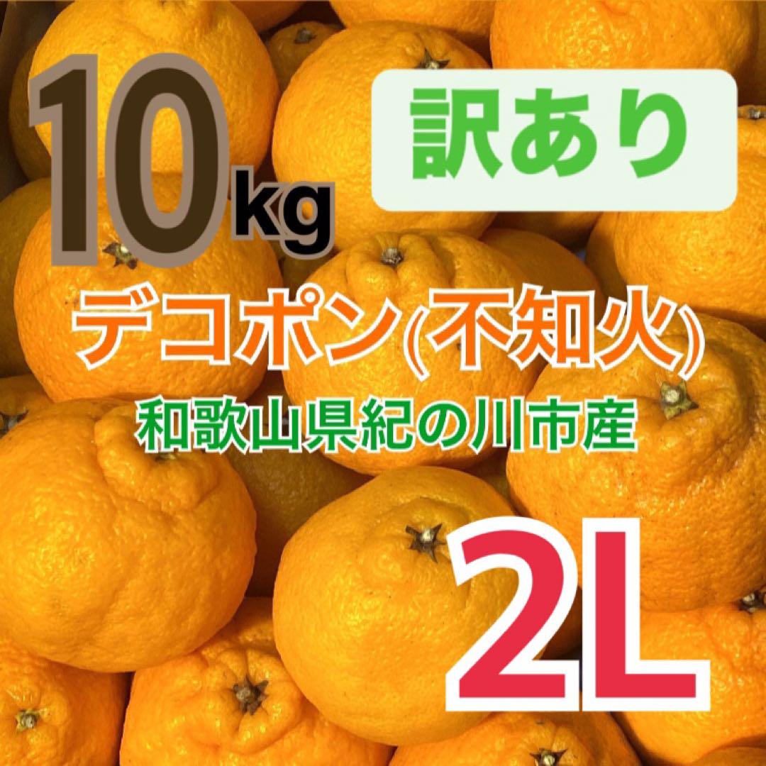 木なりデコポン(不知火)2Lサイズ箱込み10kg弱 ご家庭用