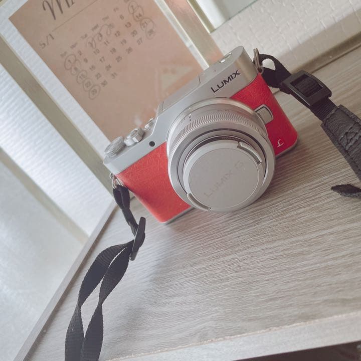 パナソニック ミラーレス一眼カメラ | www.csad.it