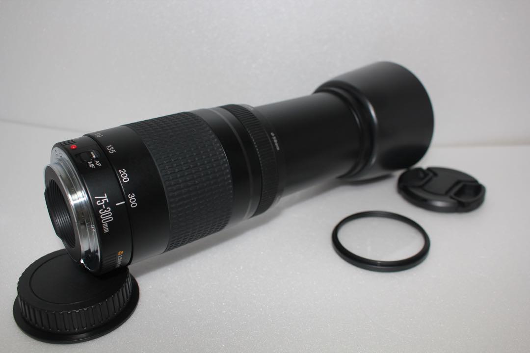 極上品☆迫力の300mm☆フード付☆キャノン Canon EF75-300㎜ 極上品☆迫力の300mm☆フード付☆キャノン Canon EF75-300㎜