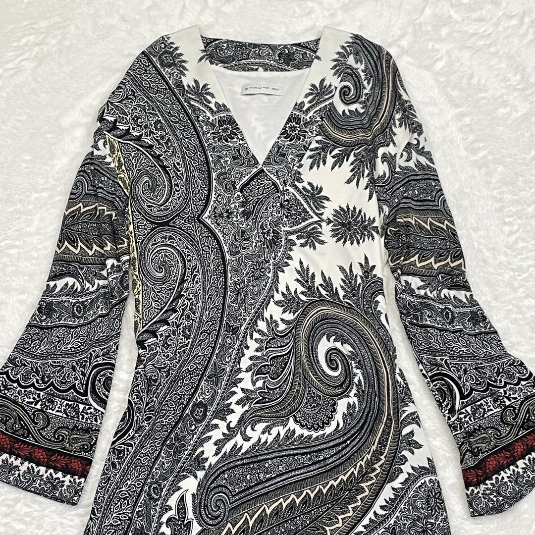 極美品 エトロ ワンピース 秋 ペイズリー カシュクール 総柄 ドレス L 画像2