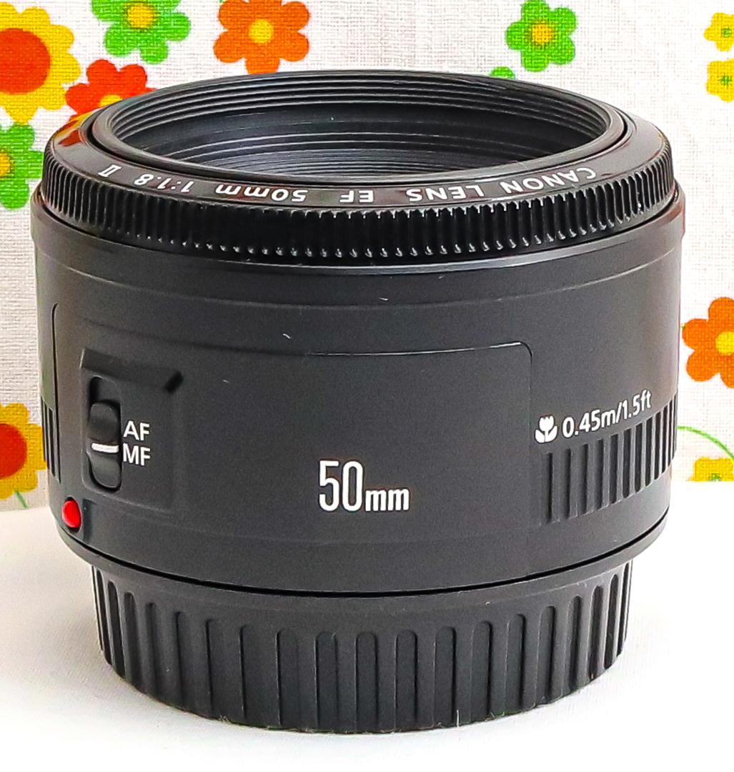 Canon EF 50mm F1.8 Ⅱ☆単焦点レンズ☆フルサイズ機も使える Amazon.co.jp: Canon 単焦点レンズ EF50mm F1.8 II フルサイズ