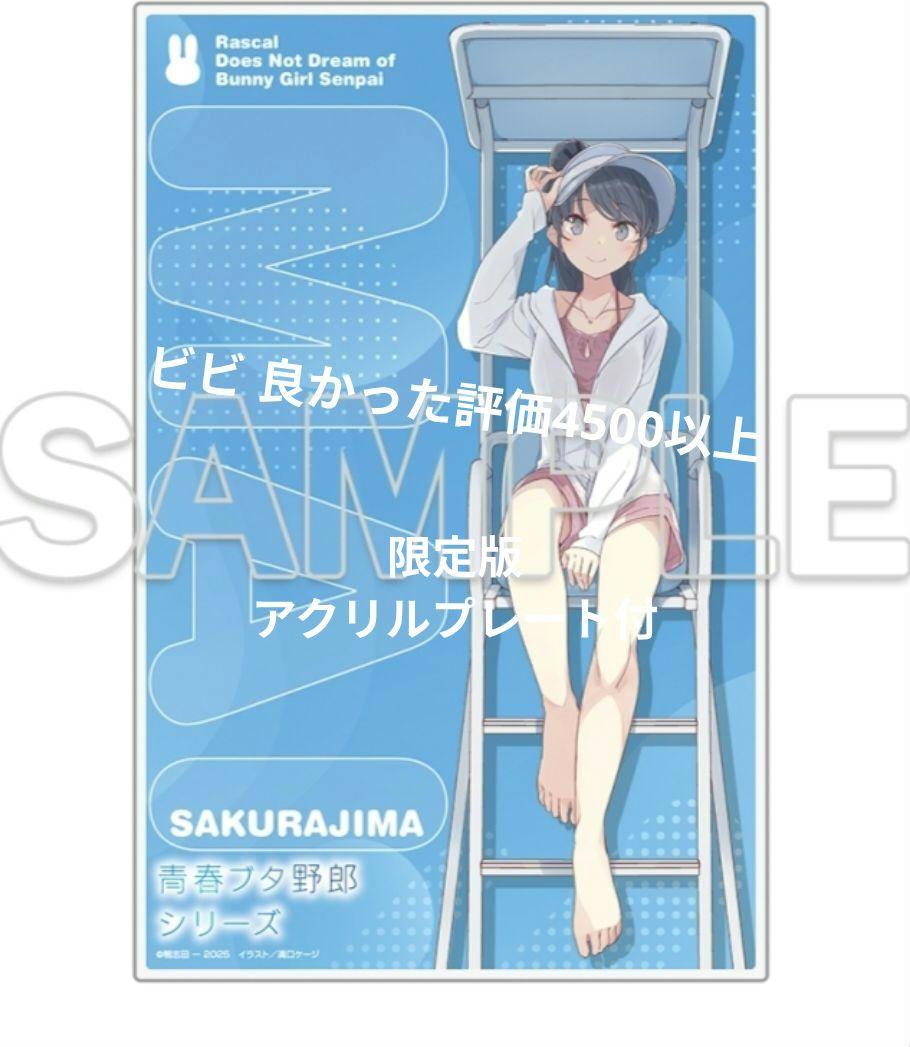 小説】青春ブタ野郎はビーチクイーンの夢を見ない＋ - メルカリ