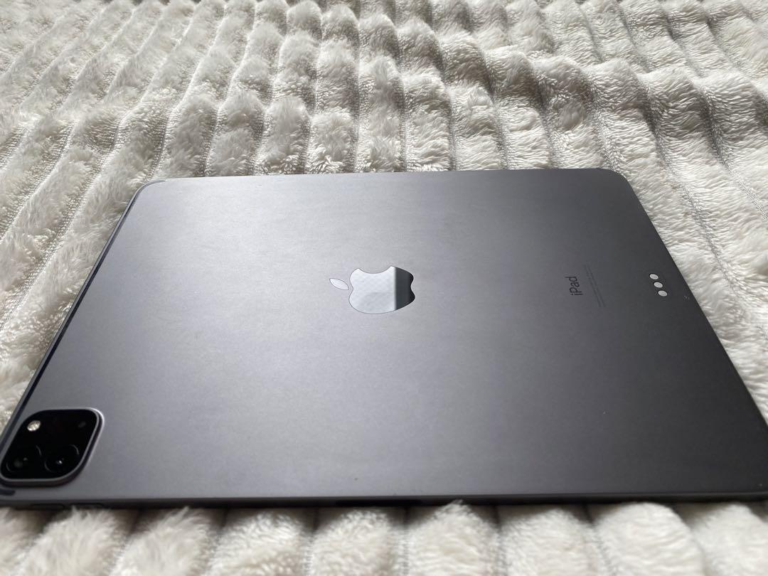 iPad Pro第2世代 11インチ スペースグレイ 箱あり 美品 iPad Pro第2世代 11インチ スペースグレイ 箱あり 美品