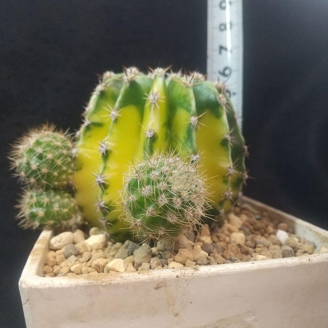 ❤