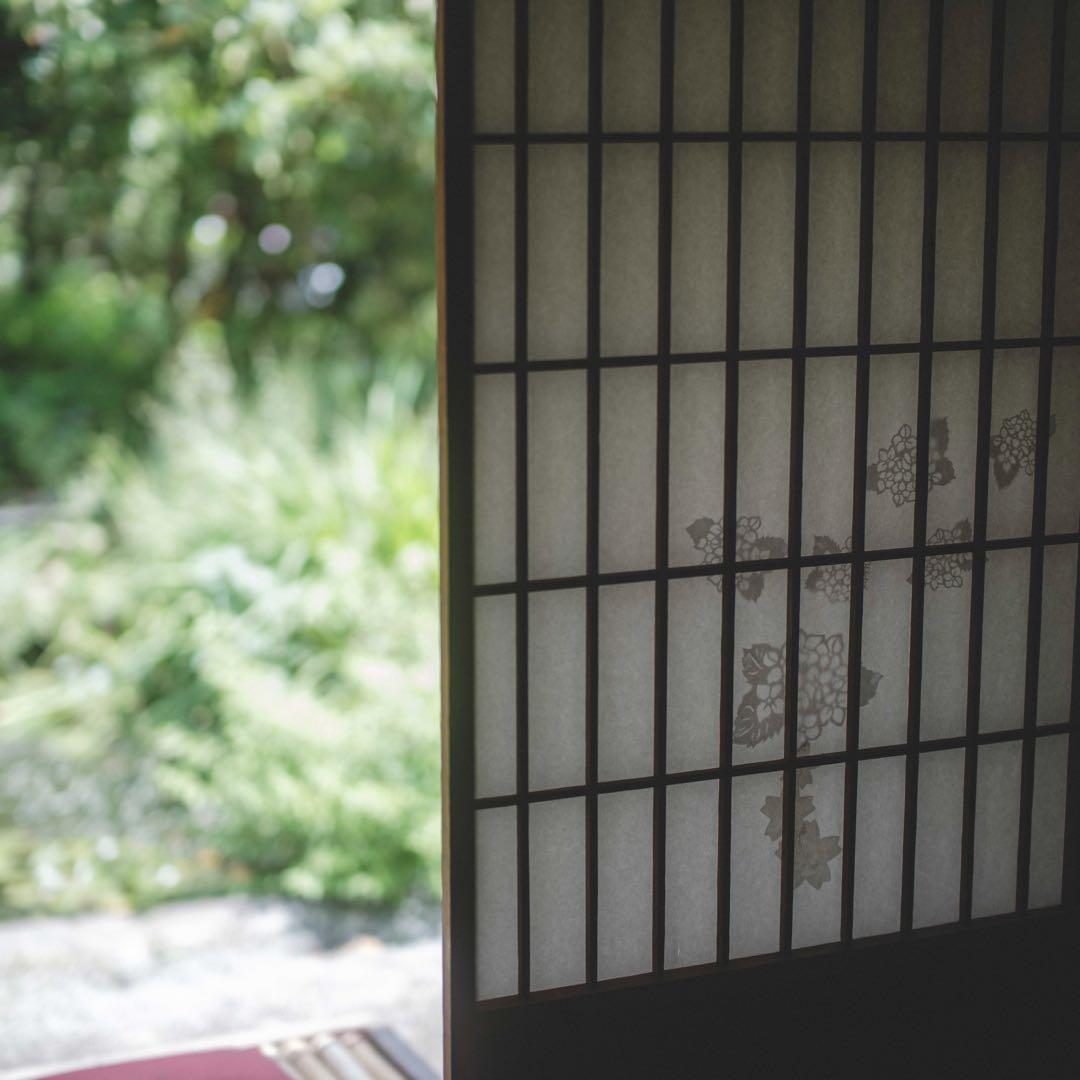 中一光学 SPEEDMASTER 65mm f1.4 / mitakon