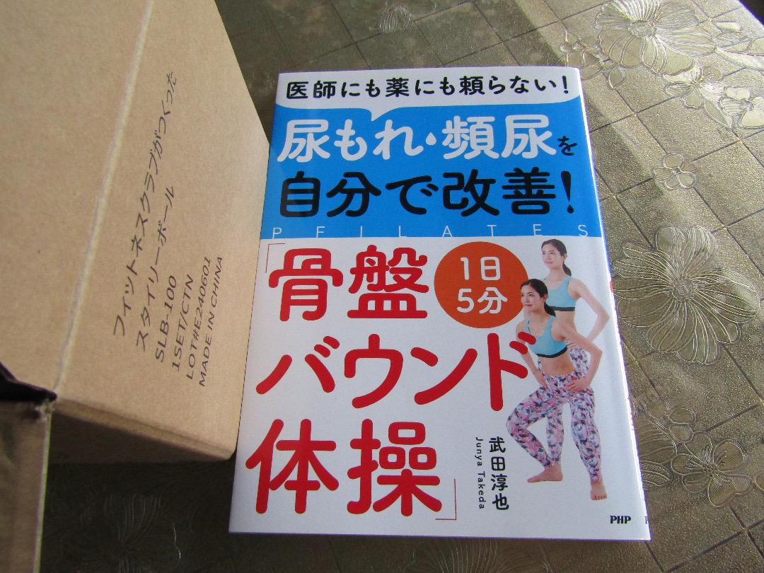 スタイリーボールSLB-100＆書籍「骨盤バウンド体操」