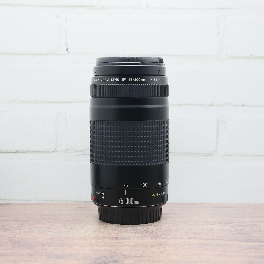 ジャンク】Canon EF 75-300mm F4-5.6 Ⅱ - メルカリ