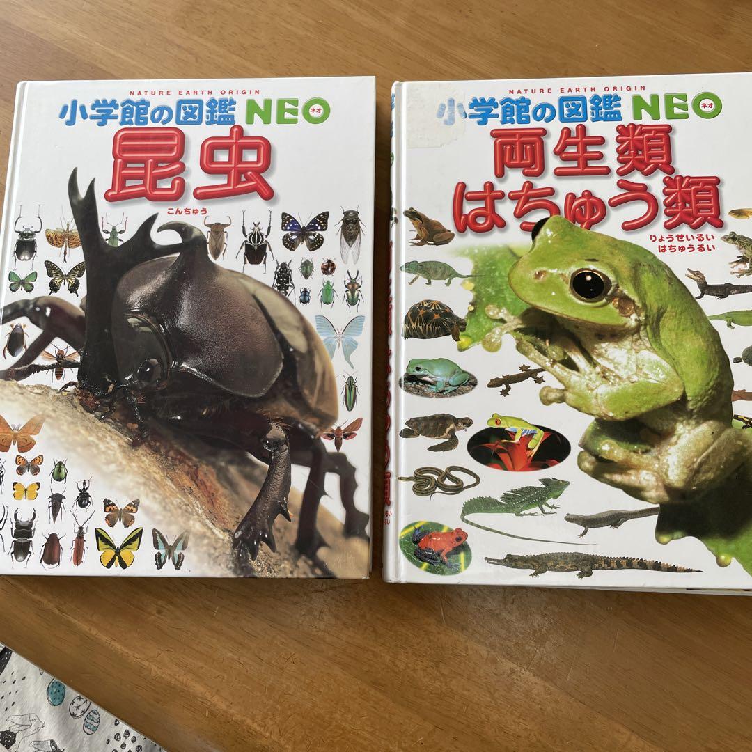 小学館図鑑NEO17冊【バラ売り不可】 小学館の図鑑NEO 11冊 バラ売り応相談 - メルカリ