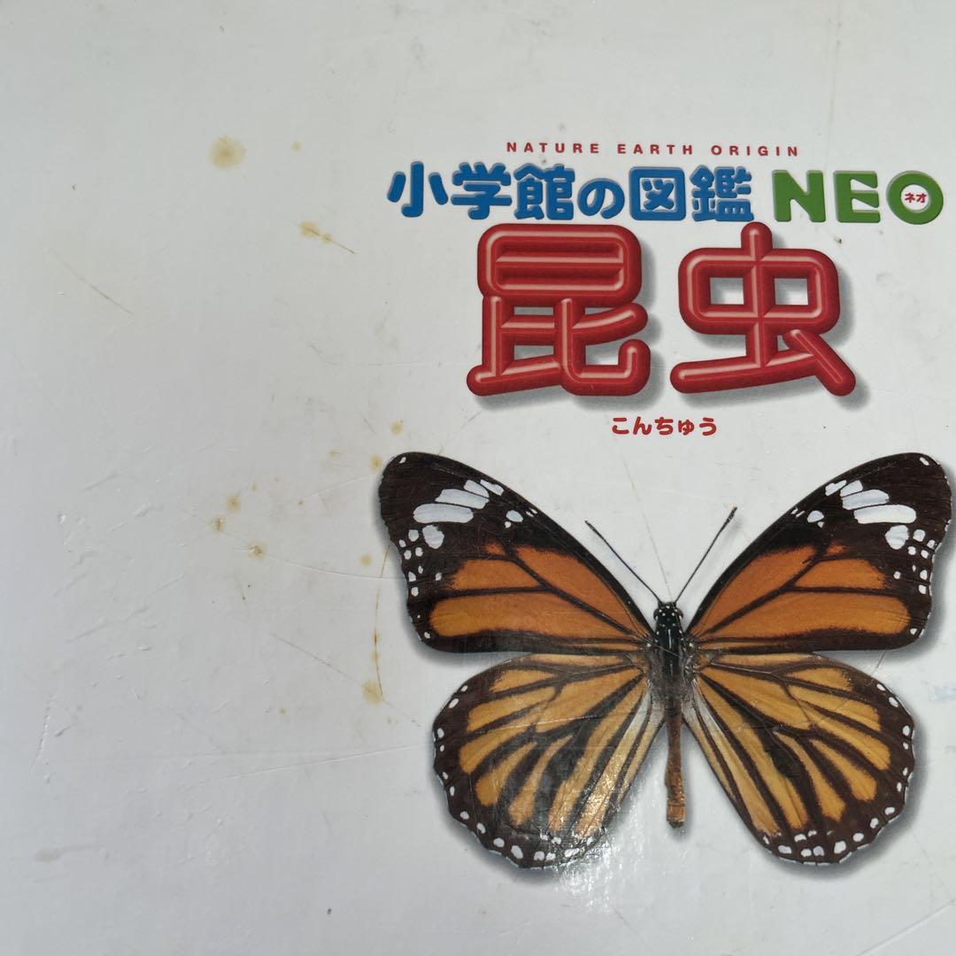 小学館図鑑NEO17冊【バラ売り不可】 小学館の図鑑NEO 11冊 バラ売り応相談 - メルカリ