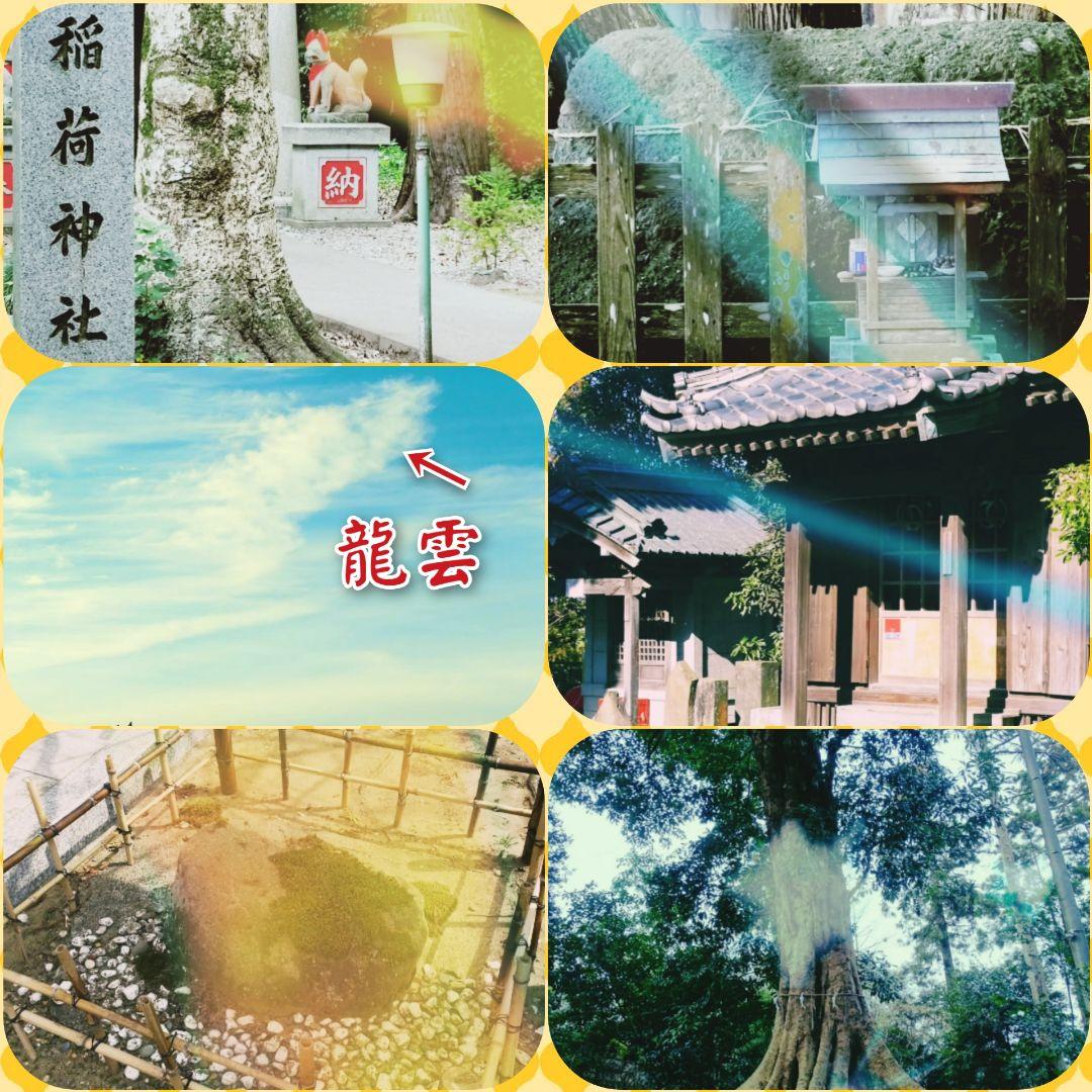 将龍