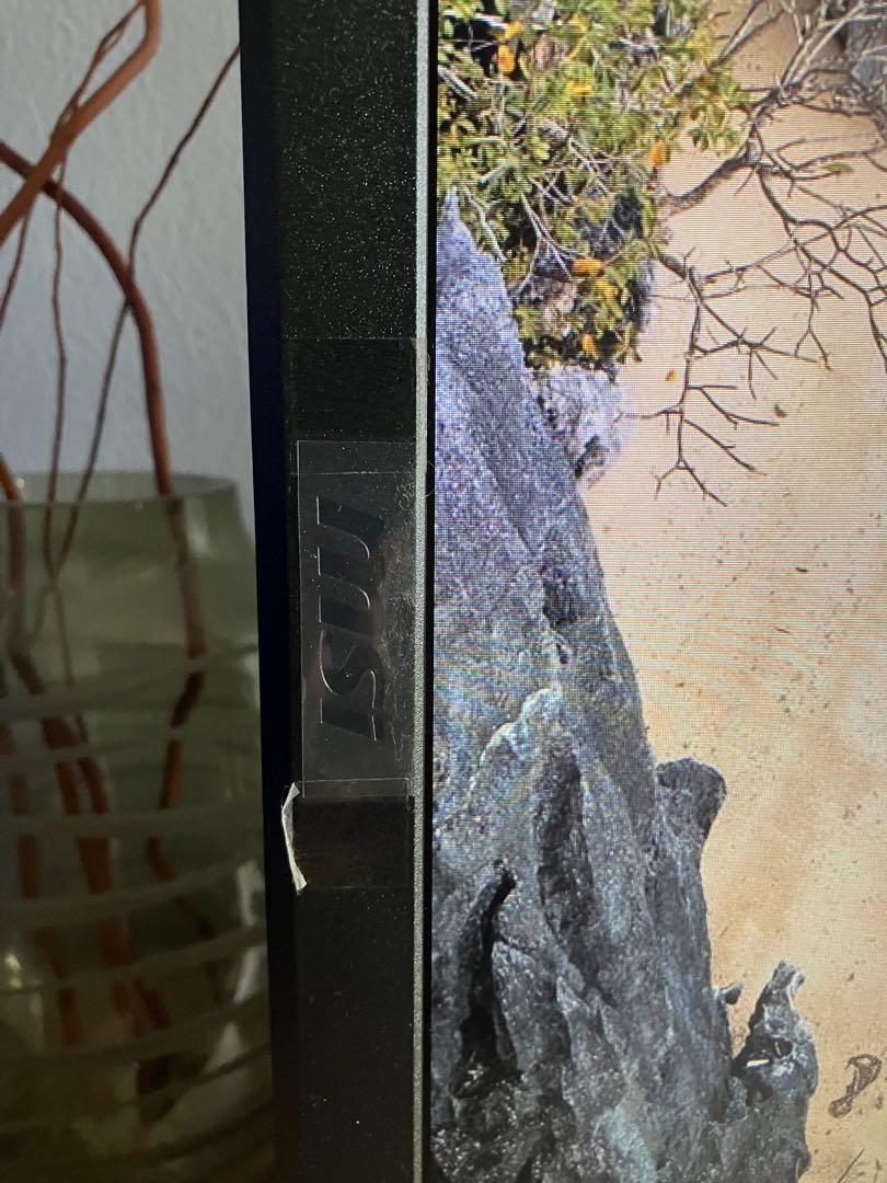 Lmly　①MSI G2412モニター　美品