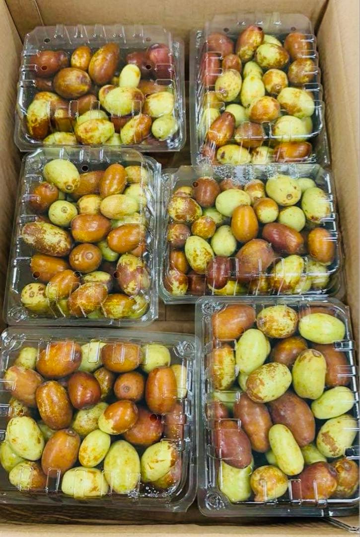 今秋新品入荷☆常温発送【新鮮なつめ約2000g】日本国産新鮮脆冬棗