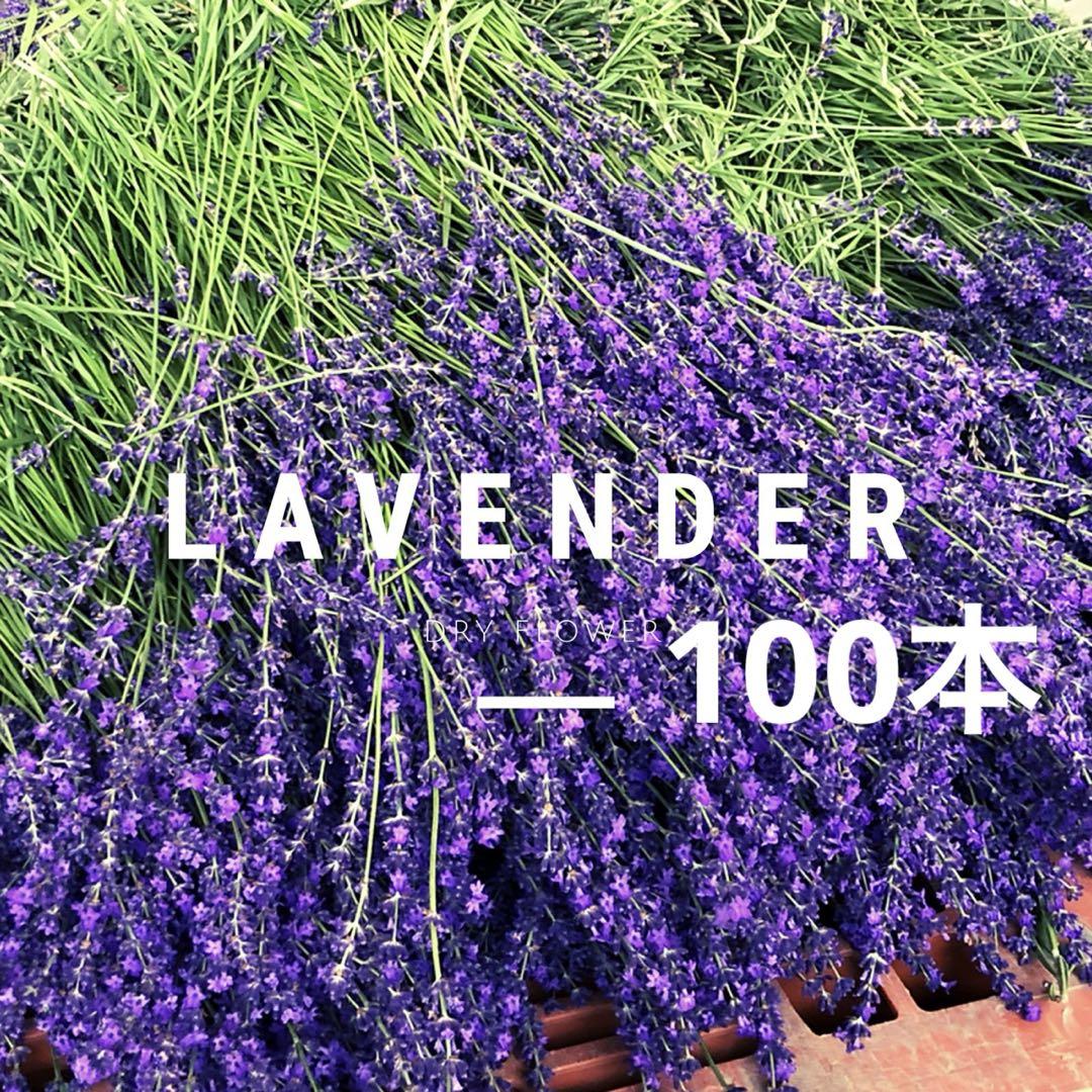 ラベンダー ドライフラワー 100本 - メルカリ