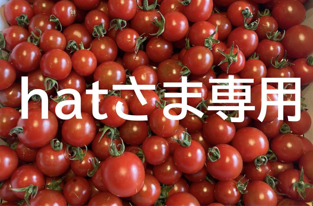 hatさま 専用 hatさま 専用
