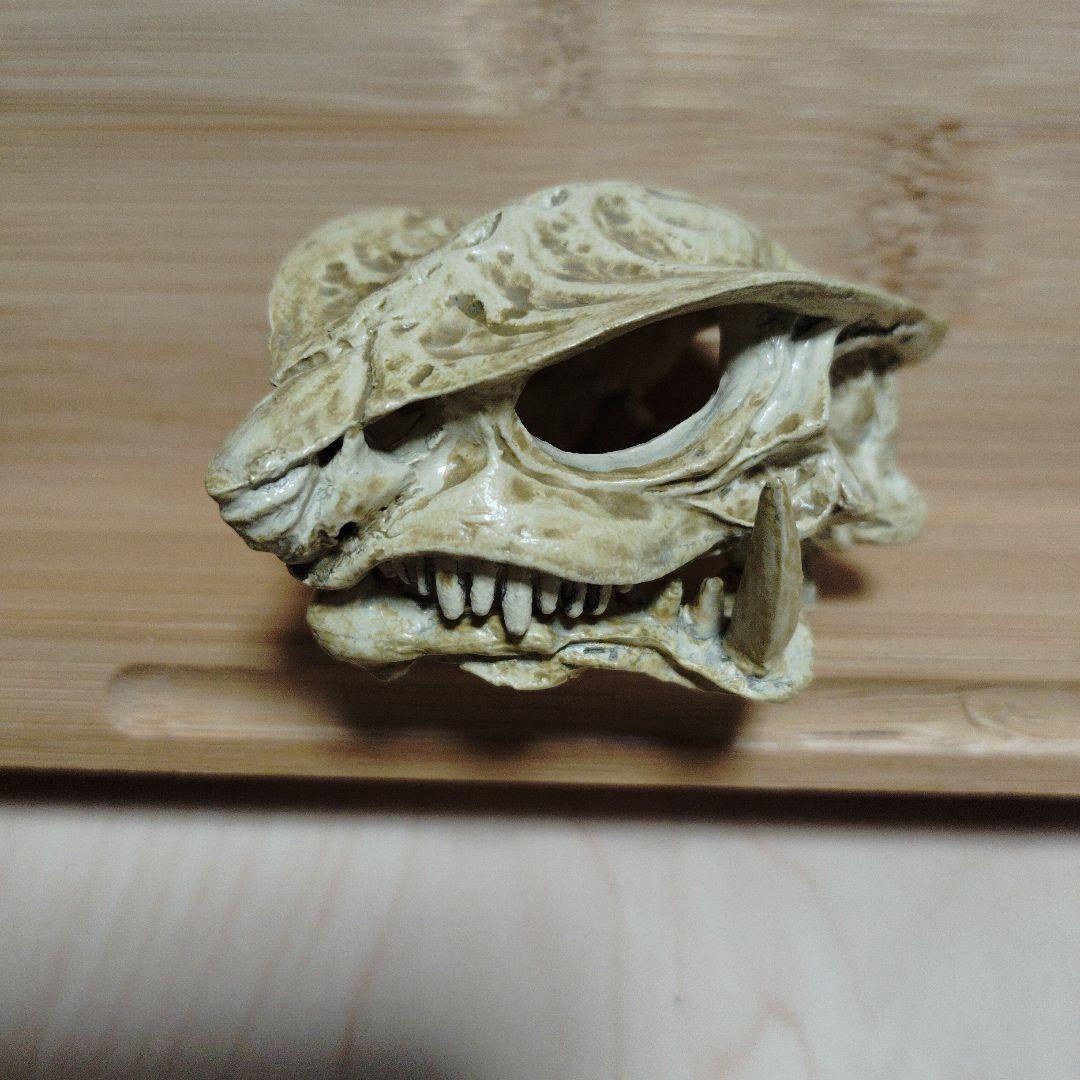 ガメラ
