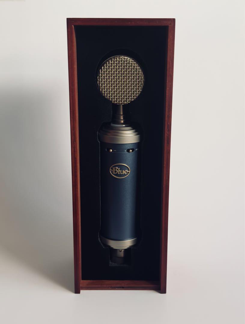 Blue bluebird コンデンサーマイク　※値下げしました 値下げ】BLUE Bluebird SL コンデンサーマイク