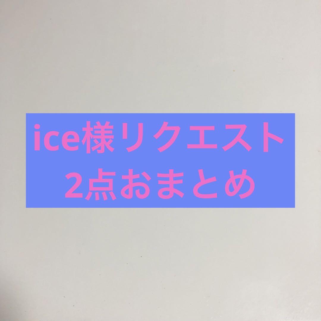 ice様 リクエスト 2点 まとめ商品