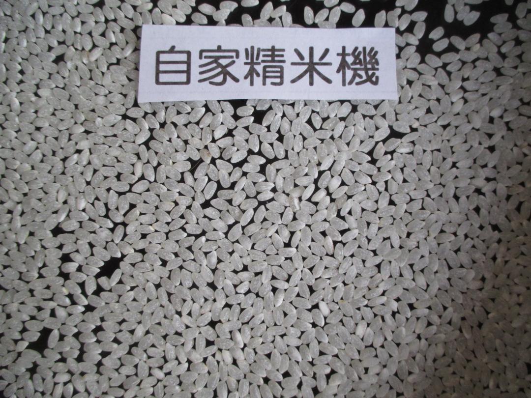 お米 10㎏（自家精米）
