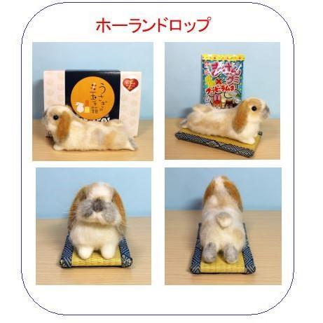 羊毛フェルト　うさぎ　オーダーメイド専用ページ
