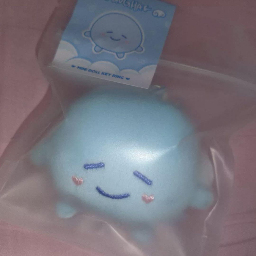 YEGSUNG MINIDoll Key Ring ドンヘぬいぐるみ YEGSUNG MINIDoll Key Ring ドンヘぬいぐるみ