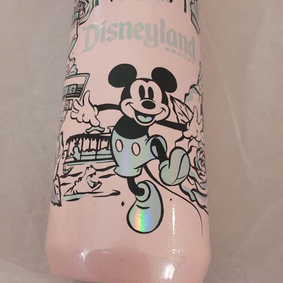 ディズニー Disney スタバ コラボ タンブラー ステンレス ボトル 水筒