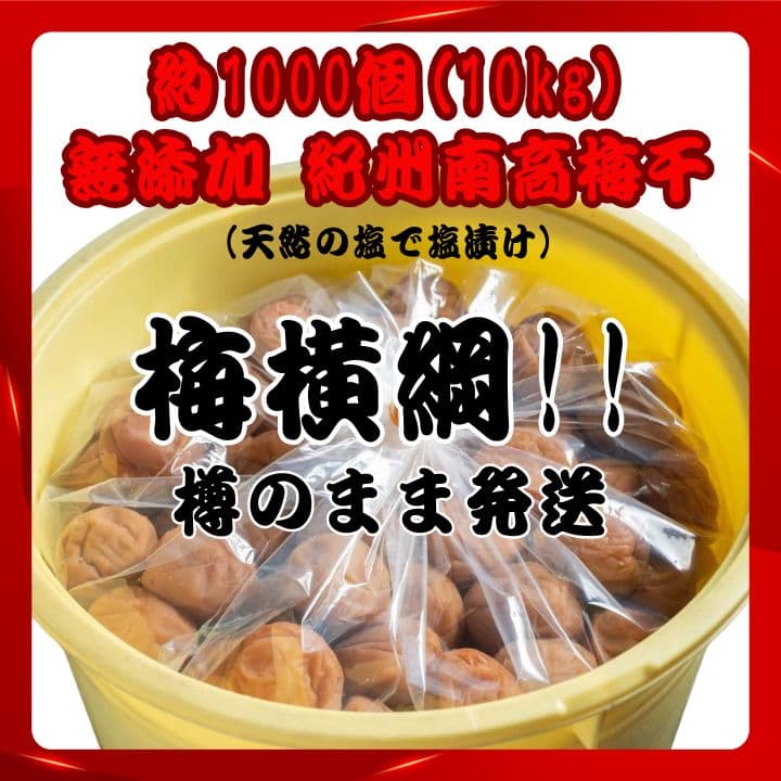 △人気爆発！紀州南高梅 樽 10kg 梅 無添加 和歌山 紀州 白梅 2608