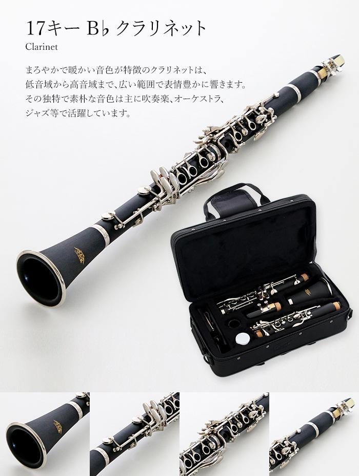 新品 未使用 クラリネット セット 予備 リード 付属品付 新品 未使用 送料無料 クラリネット セット 予備 リード付