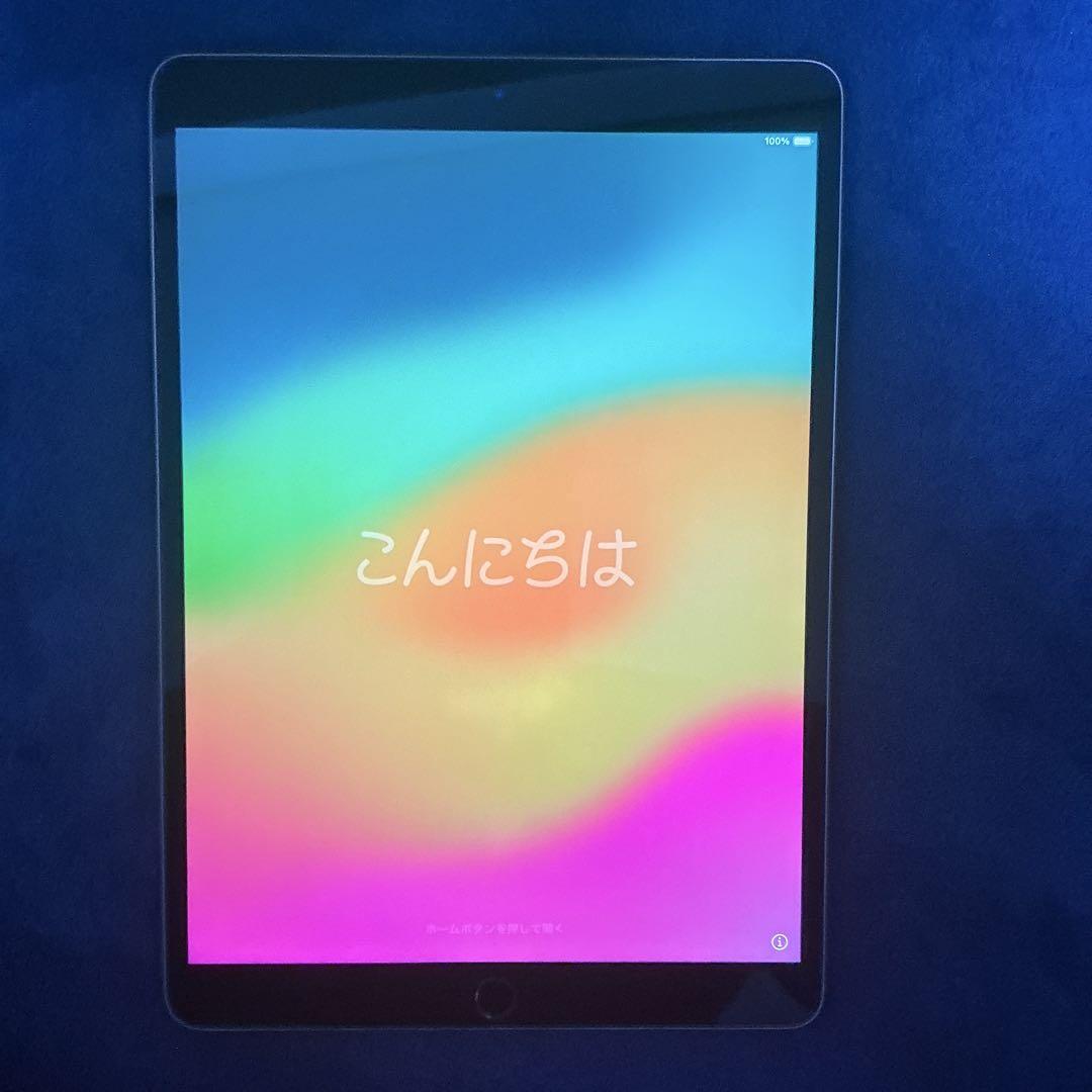 第3世代iPad Air 256G