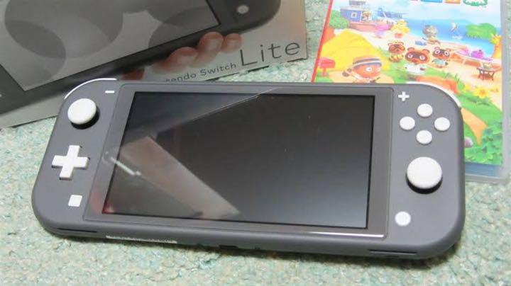 グレイ系い出のひと時に、とびきりのおしゃれを! Nintendo Switch NINTENDO SWITCH LITE グレー その他 テレビ/映像機器グレイ系¥11,