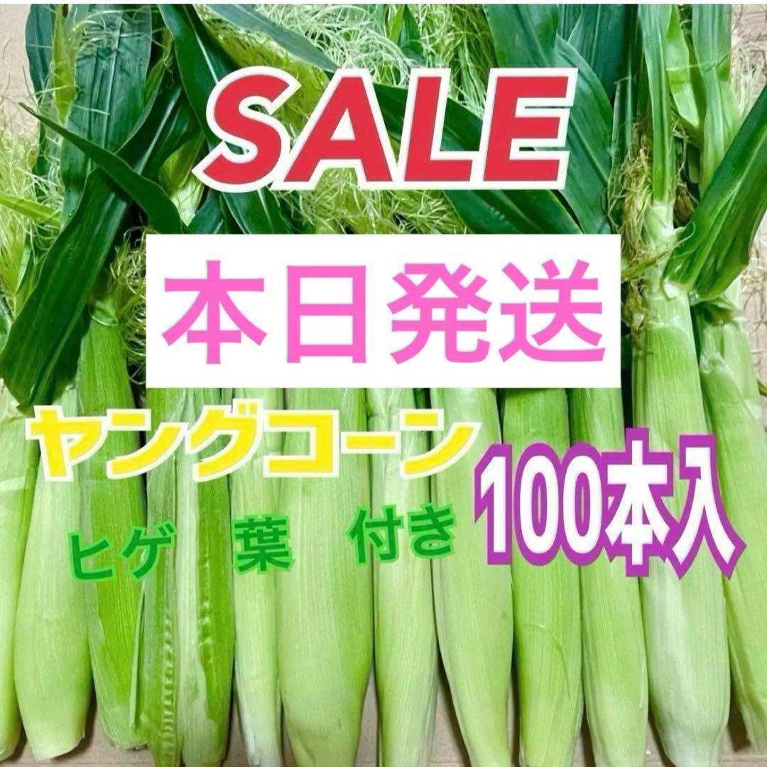 a71 ヤングコーン　ベビーコーン　山梨県産　100本➕おまけ　野菜　新鮮