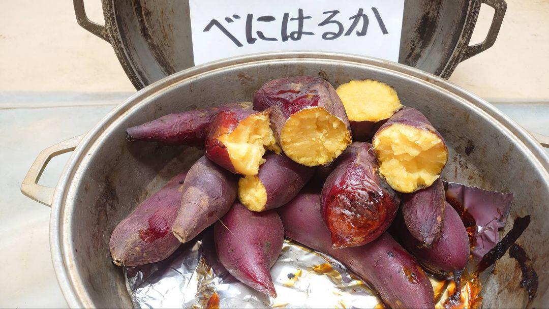 べにはるか 20kg(箱込) S(約100g～200g) 茨城県産