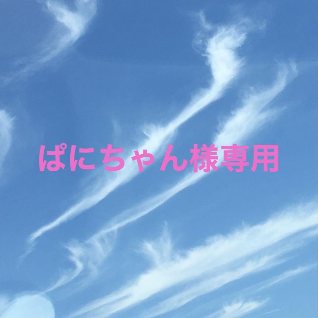 ぱにちゃん様専用 - www.port-toamasina.com