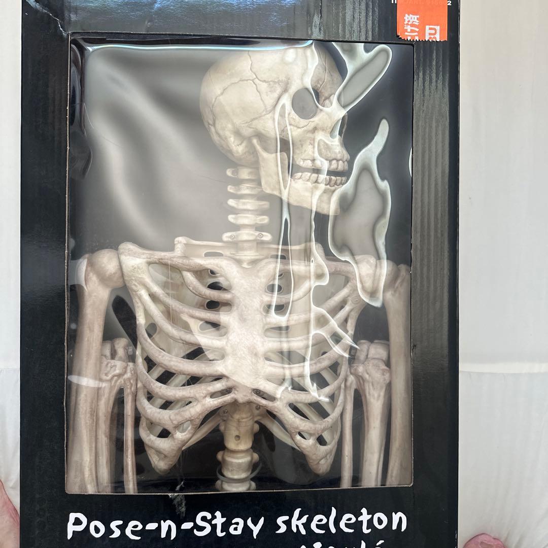 人体模型　skeleton 60インチ　新品未開封（箱に傷あり） Amazon | MAFEX マフェックス No.206 ENDOSKELETON エンド