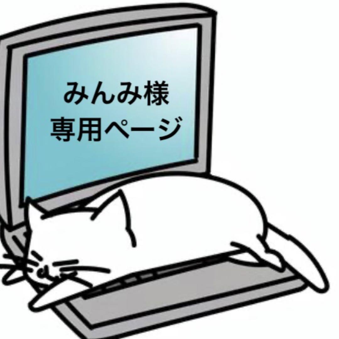 【送料0円】 みんみ様オーダー品 チャーム