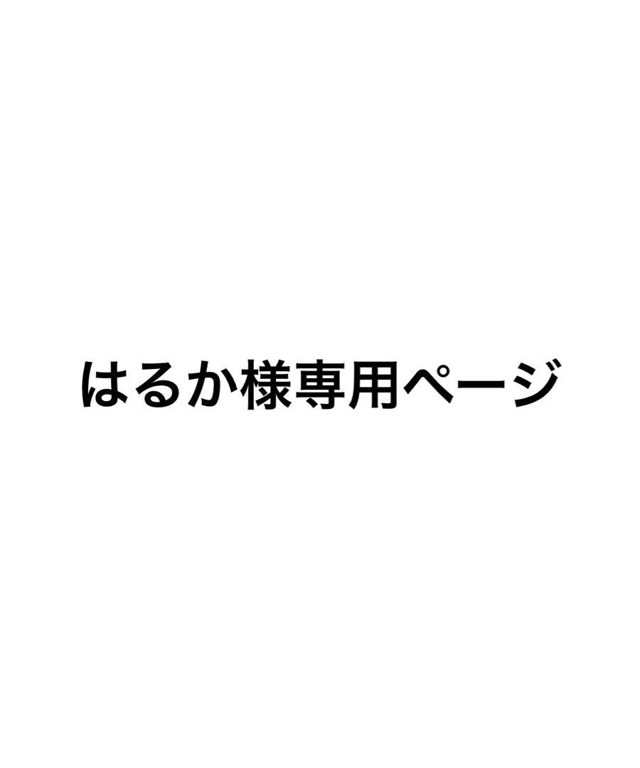 専用ページ